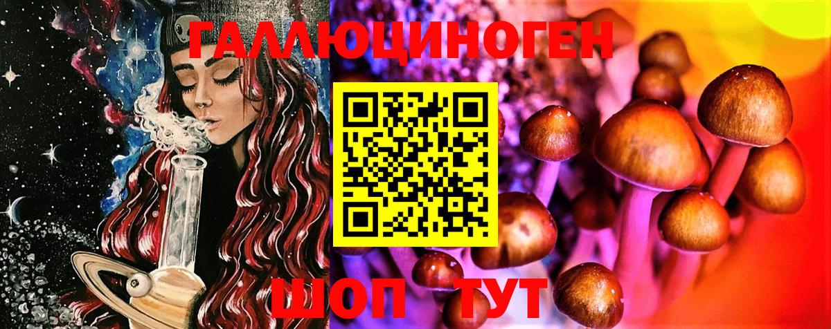 Галлюциногенные грибы Psilocybe Набережные Челны